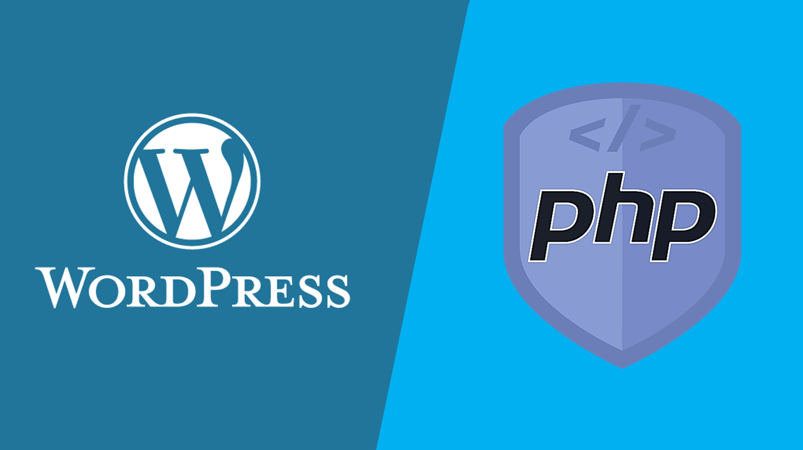 wordpress php